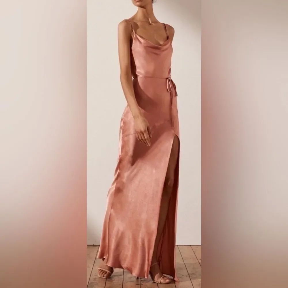 NWOT Shona Joy La Lune Bias Cowl Maxi Dress in Rose Size 6 Cowl Neck Front Split